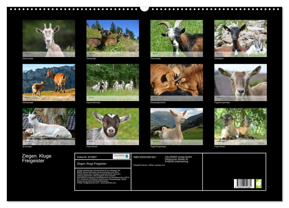 Ziegen. Kluge Freigeister (CALVENDO Wandkalender 2026)