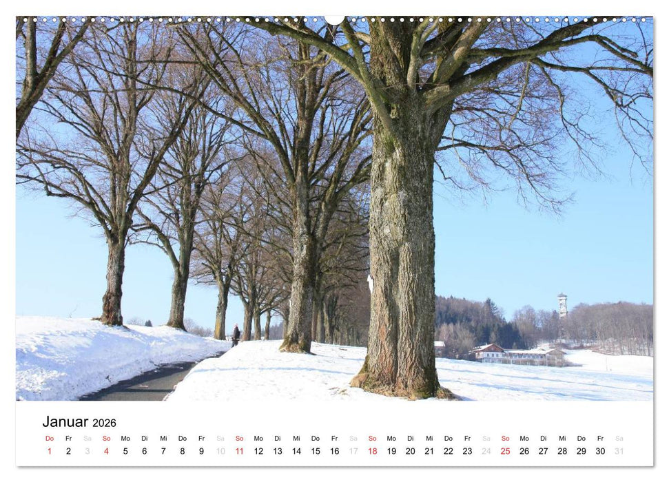 Der Ebersberger Forst und seine Umgebung (CALVENDO Premium Wandkalender 2026)