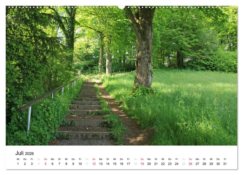 Der Ebersberger Forst und seine Umgebung (CALVENDO Premium Wandkalender 2026)