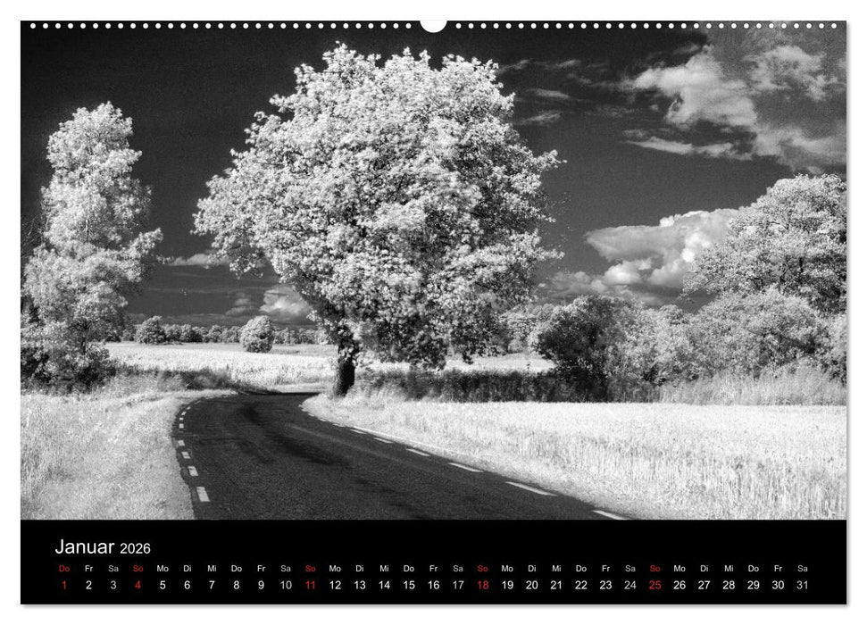 Objekte in schwarz weiss (CALVENDO Premium Wandkalender 2026)