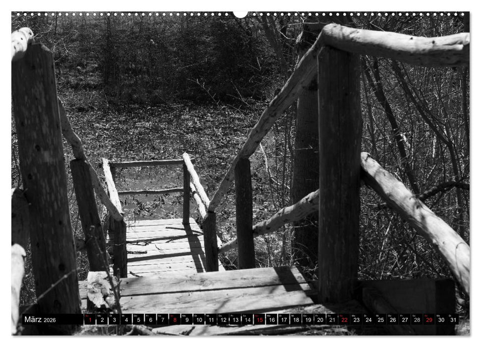 Die Magie der Stille (CALVENDO Wandkalender 2026)