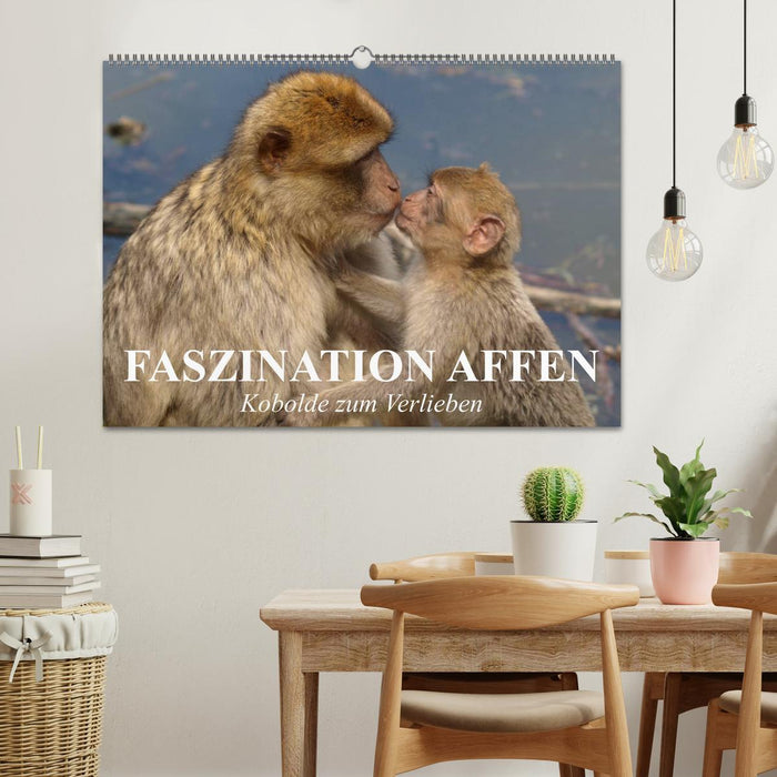 Faszination Affen. Kobolde zum Verlieben (CALVENDO Wandkalender 2026)
