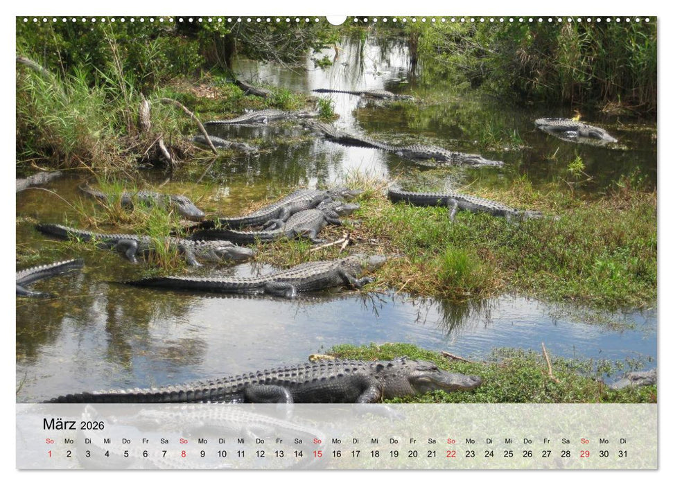 Große Echsen. Krokodile und Alligatoren (CALVENDO Wandkalender 2026)