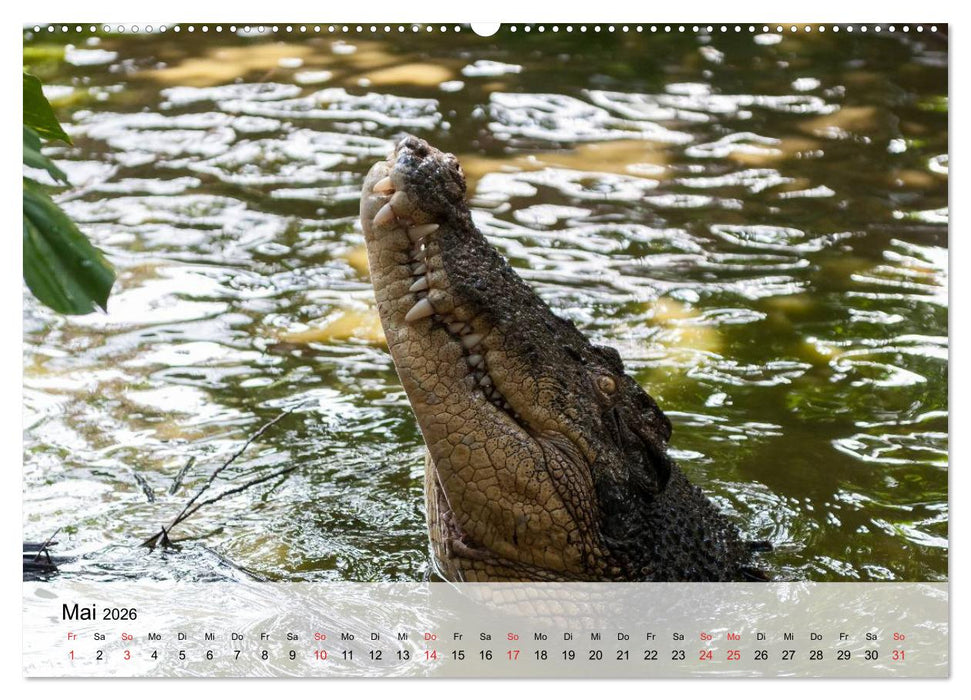 Große Echsen. Krokodile und Alligatoren (CALVENDO Wandkalender 2026)