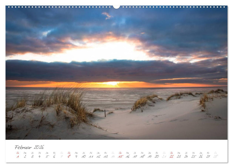 Amrum - Eine farbenfrohe Insellandschaft (CALVENDO Wandkalender 2026)
