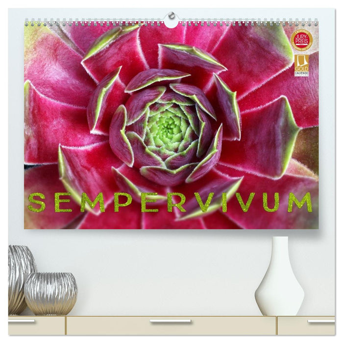 Sempervivum - Hauswurz (CALVENDO Premium Wandkalender 2026)