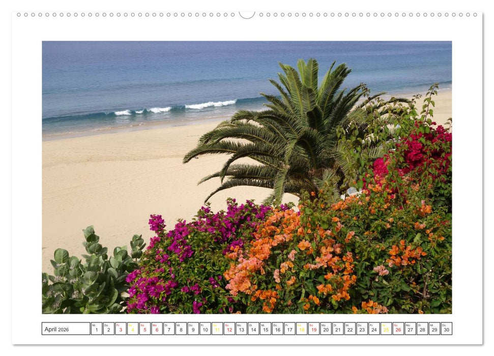Fuerteventura - Insel im Licht (CALVENDO Premium Wandkalender 2026)
