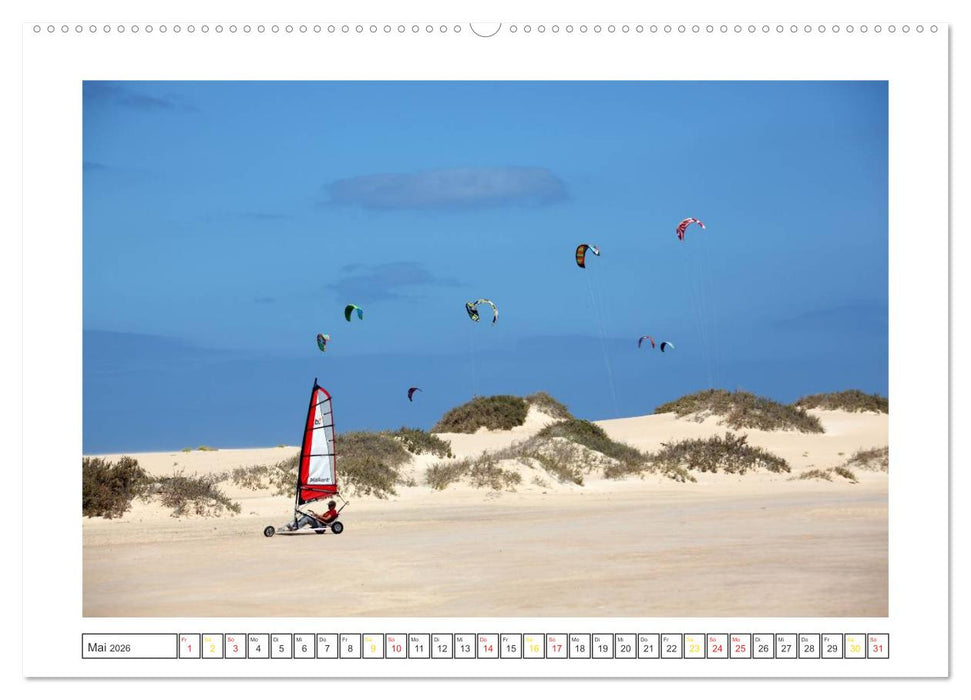 Fuerteventura - Insel im Licht (CALVENDO Premium Wandkalender 2026)