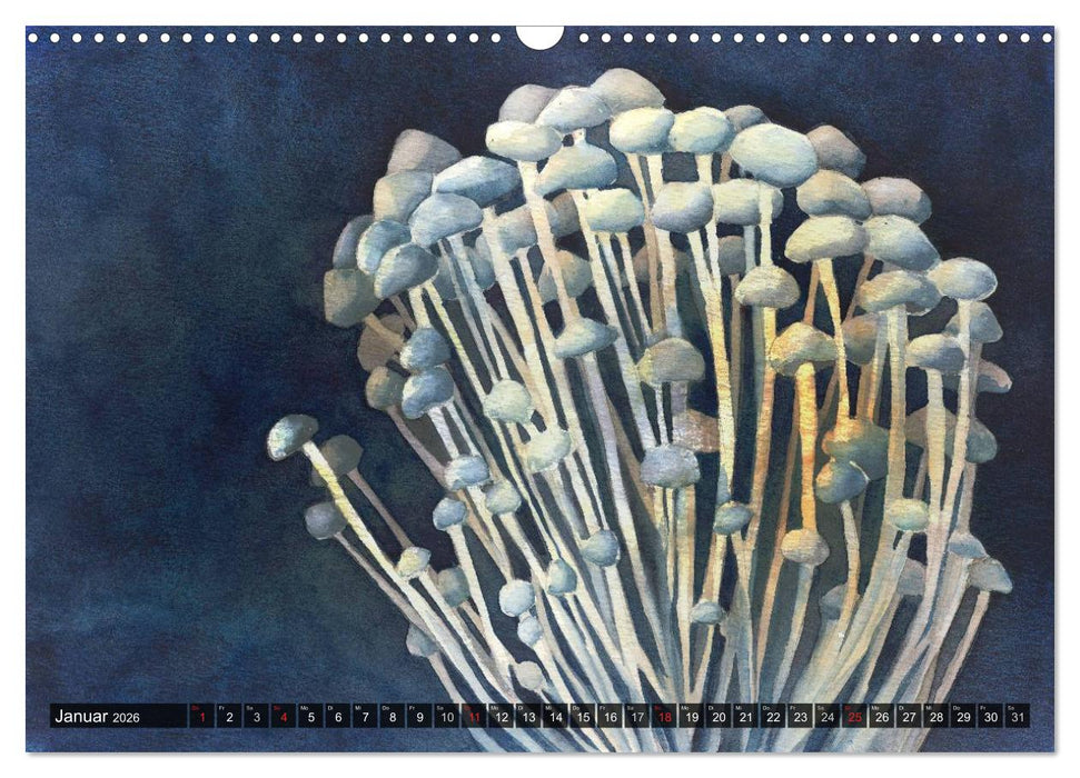 Pilze in Aquarell (CALVENDO Wandkalender 2026)