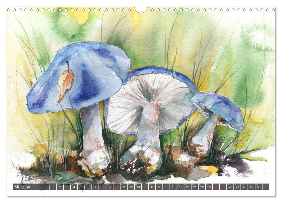 Pilze in Aquarell (CALVENDO Wandkalender 2026)