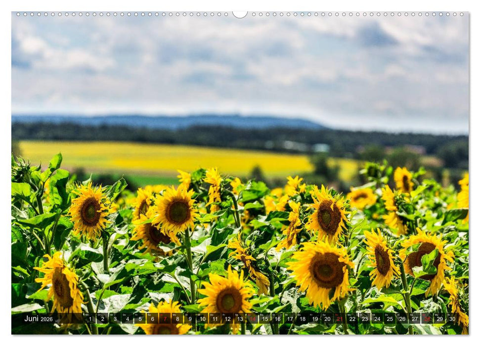 Franken WildRomantisch (CALVENDO Premium Wandkalender 2026)