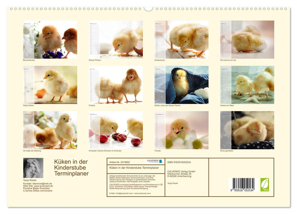Küken in der Kinderstube Terminplaner (CALVENDO Premium Wandkalender 2026)