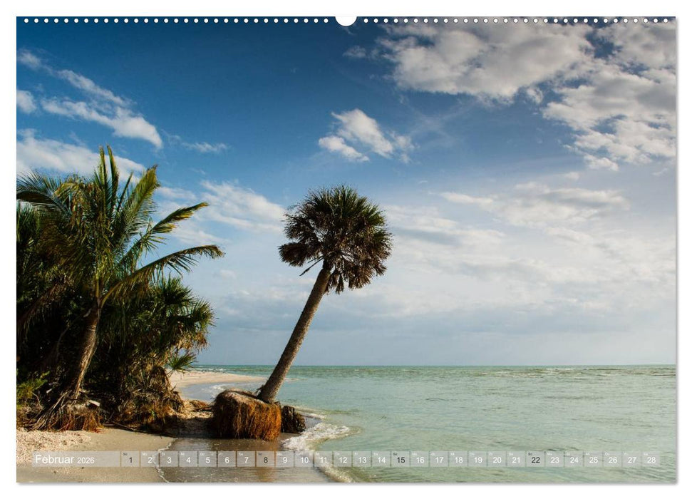 Florida. Sonne und Meer (CALVENDO Wandkalender 2026)