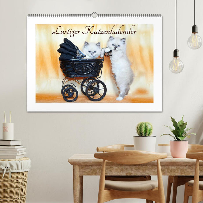 Lustiger Katzenkalender (CALVENDO Wandkalender 2026)