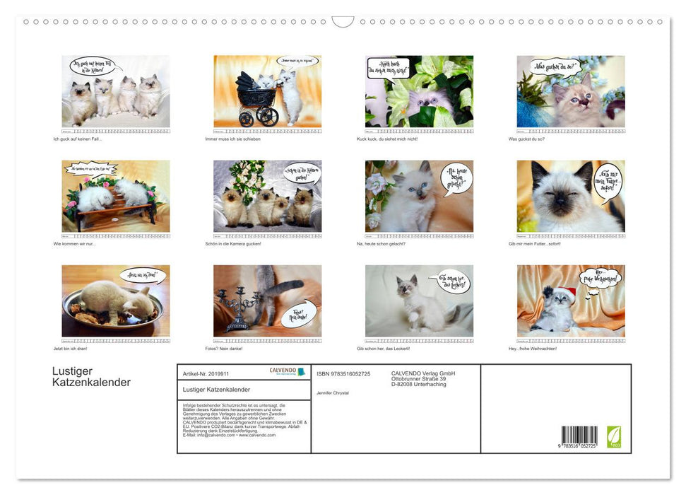 Lustiger Katzenkalender (CALVENDO Wandkalender 2026)