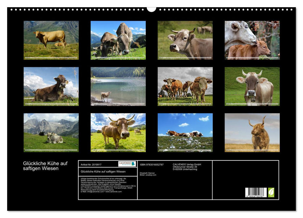Glückliche Kühe auf saftigen Wiesen (CALVENDO Wandkalender 2026)