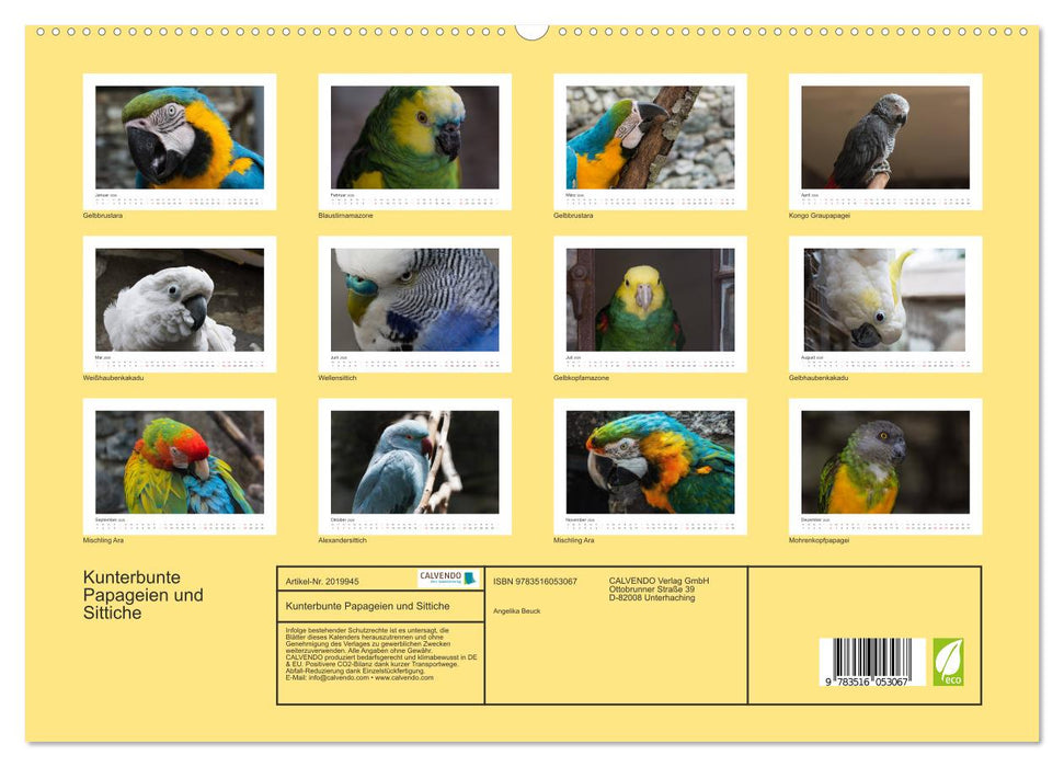 Kunterbunte Papageien und Sittiche (CALVENDO Premium Wandkalender 2026)