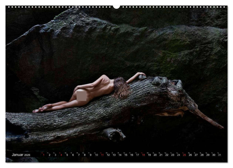 Côte d'Azur - Landschaftsaktbilder in der Natur (CALVENDO Premium Wandkalender 2026)