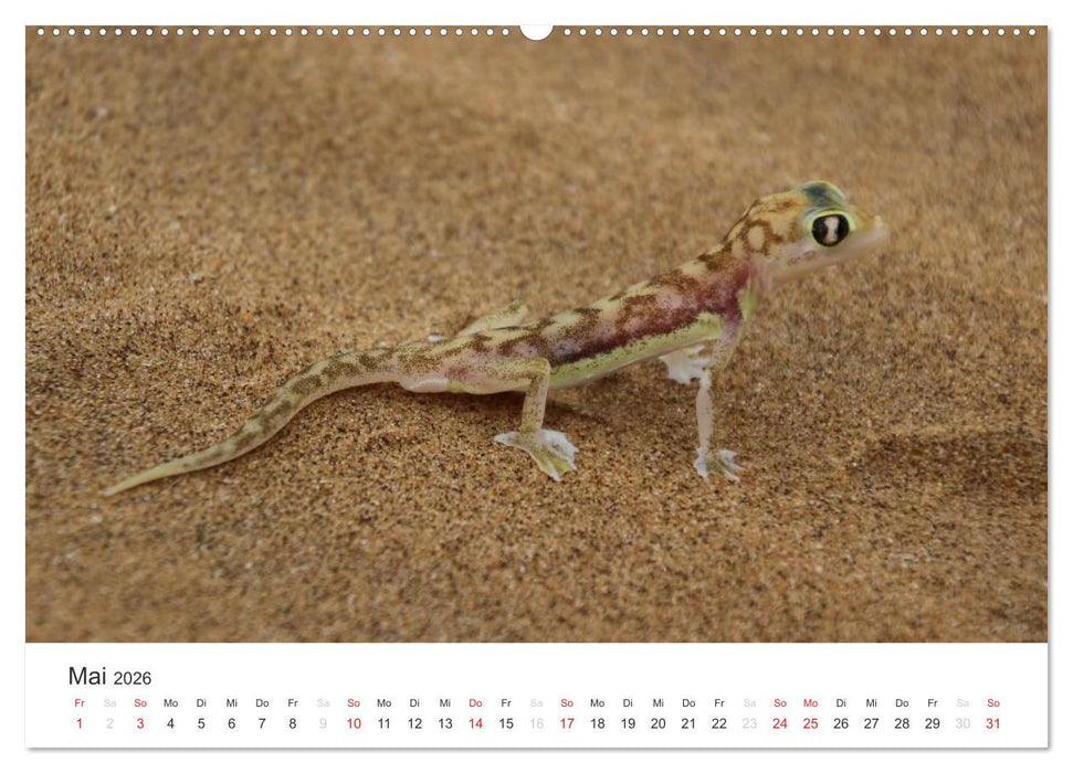 Namibia - Tierische Vielfalt (CALVENDO Premium Wandkalender 2026)