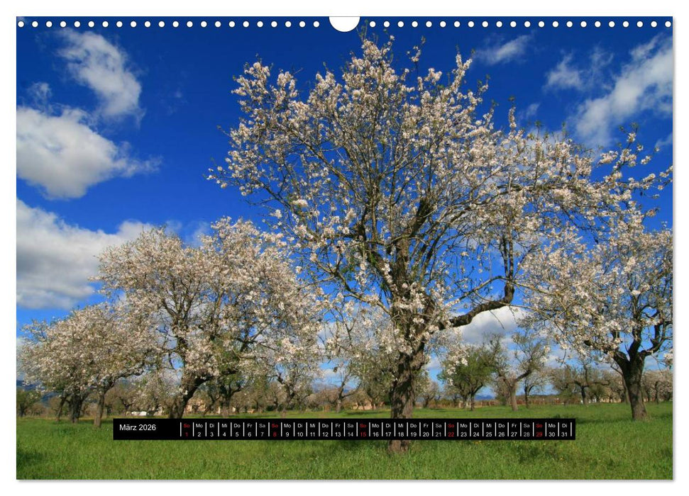 Mallorca - Gesichter einer Insel (CALVENDO Wandkalender 2026)