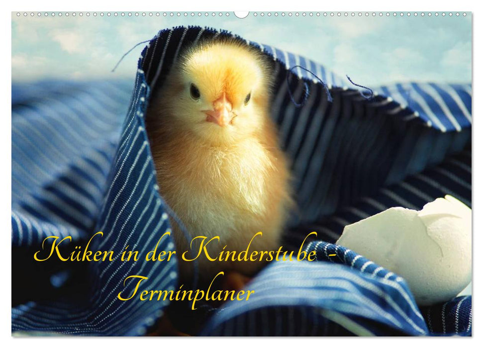 Küken in der Kinderstube Terminplaner (CALVENDO Wandkalender 2026)