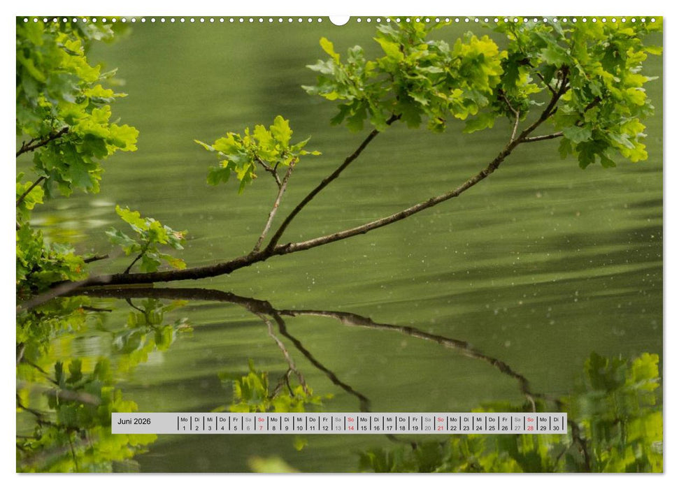 Perlen des Westerwaldes (CALVENDO Premium Wandkalender 2026)