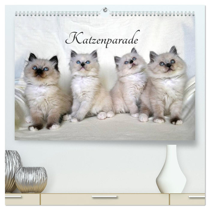 Katzenparade (CALVENDO Premium Wandkalender 2026)