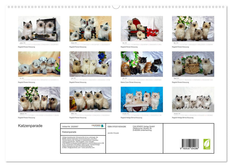 Katzenparade (CALVENDO Premium Wandkalender 2026)