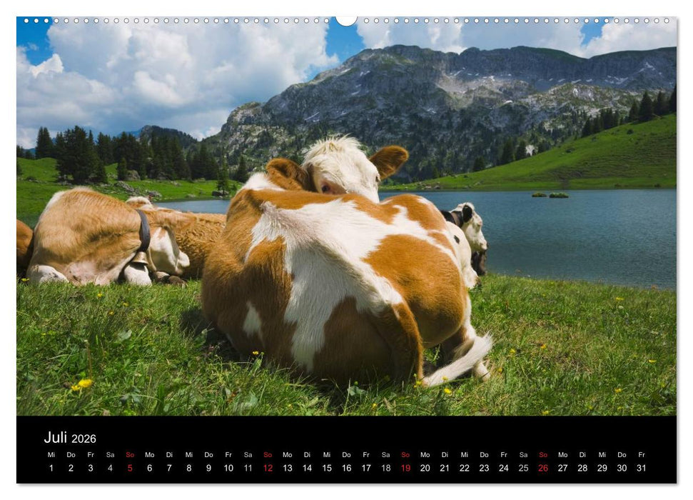 BERNER ALPEN - Natur und Landschaften (CALVENDO Premium Wandkalender 2026)