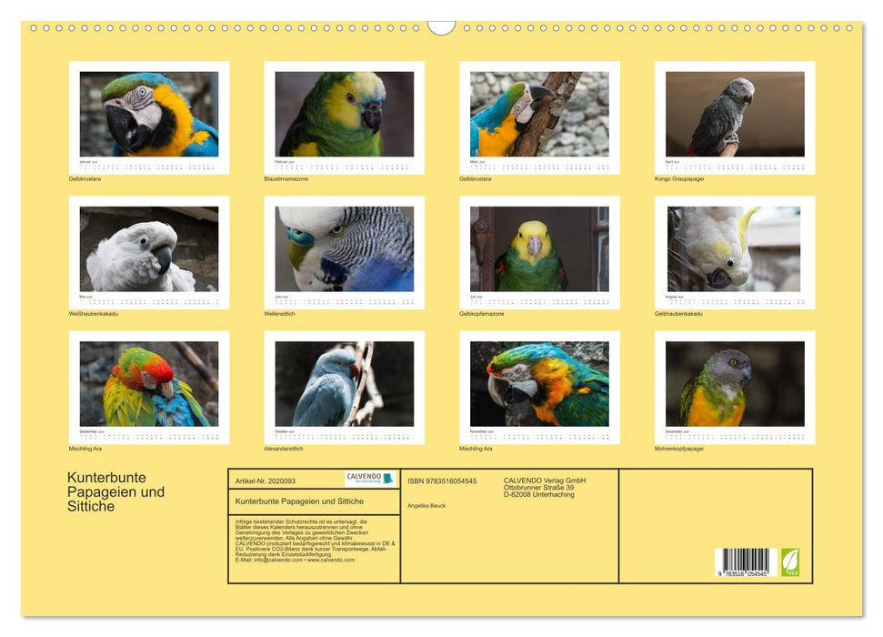 Kunterbunte Papageien und Sittiche (CALVENDO Wandkalender 2026)