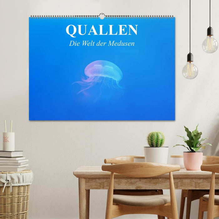 Quallen. Die Welt der Medusen (CALVENDO Wandkalender 2026)