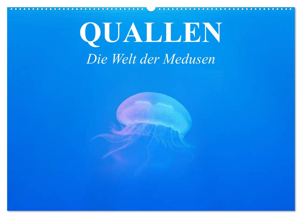 Quallen. Die Welt der Medusen (CALVENDO Wandkalender 2026)