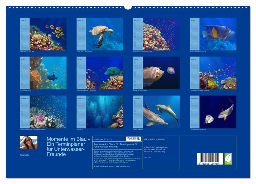 Momente im Blau - Ein Terminplaner für Unterwasser-Freunde (CALVENDO Premium Wandkalender 2026)