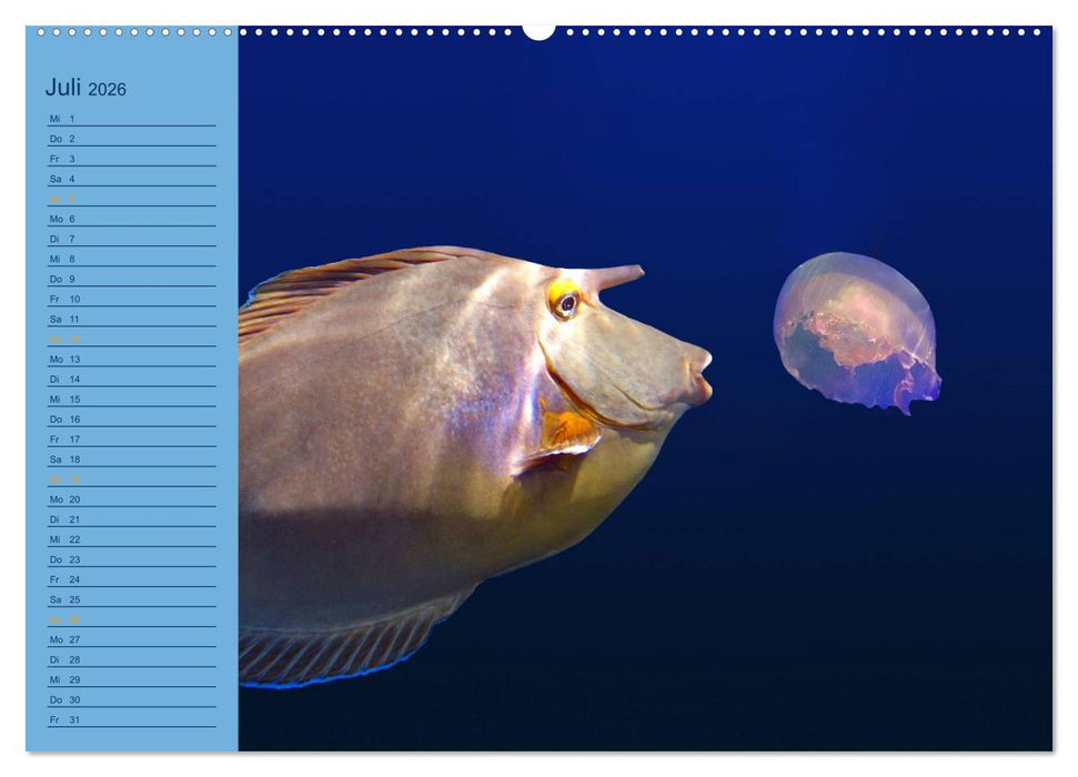 Momente im Blau - Ein Terminplaner für Unterwasser-Freunde (CALVENDO Premium Wandkalender 2026)