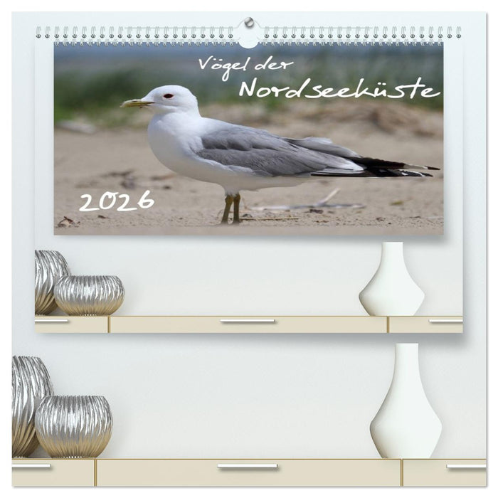 Vögel der Nordseeküste (CALVENDO Premium Wandkalender 2026)