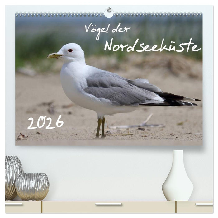 Vögel der Nordseeküste (CALVENDO Premium Wandkalender 2026)