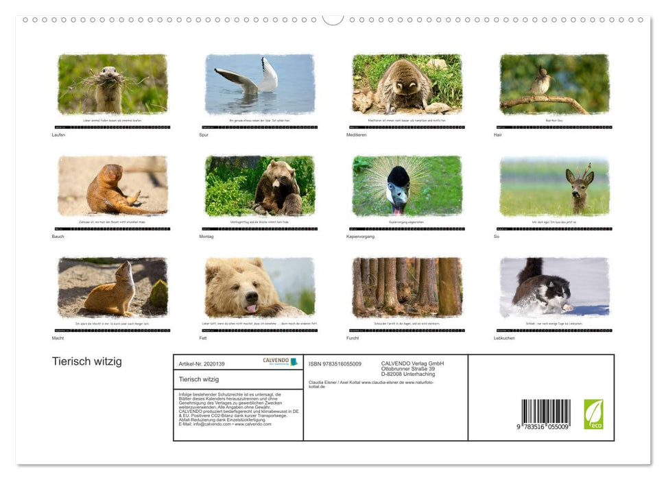 Tierisch witzig (CALVENDO Premium Wandkalender 2026)