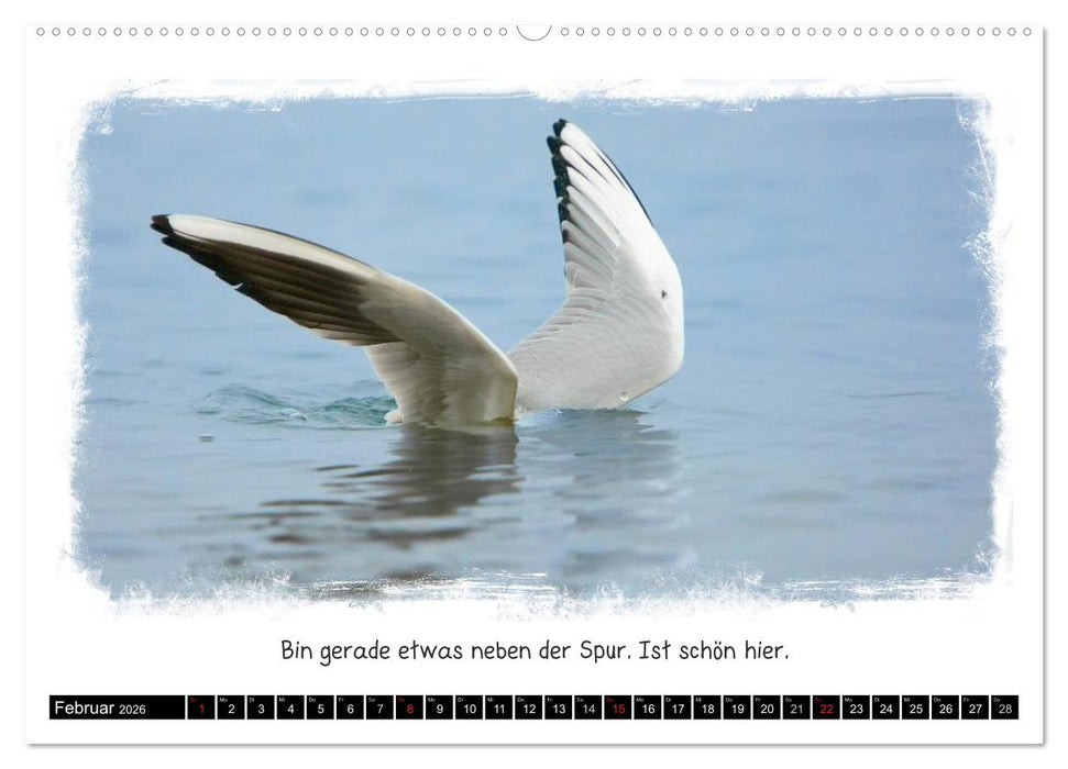 Tierisch witzig (CALVENDO Premium Wandkalender 2026)