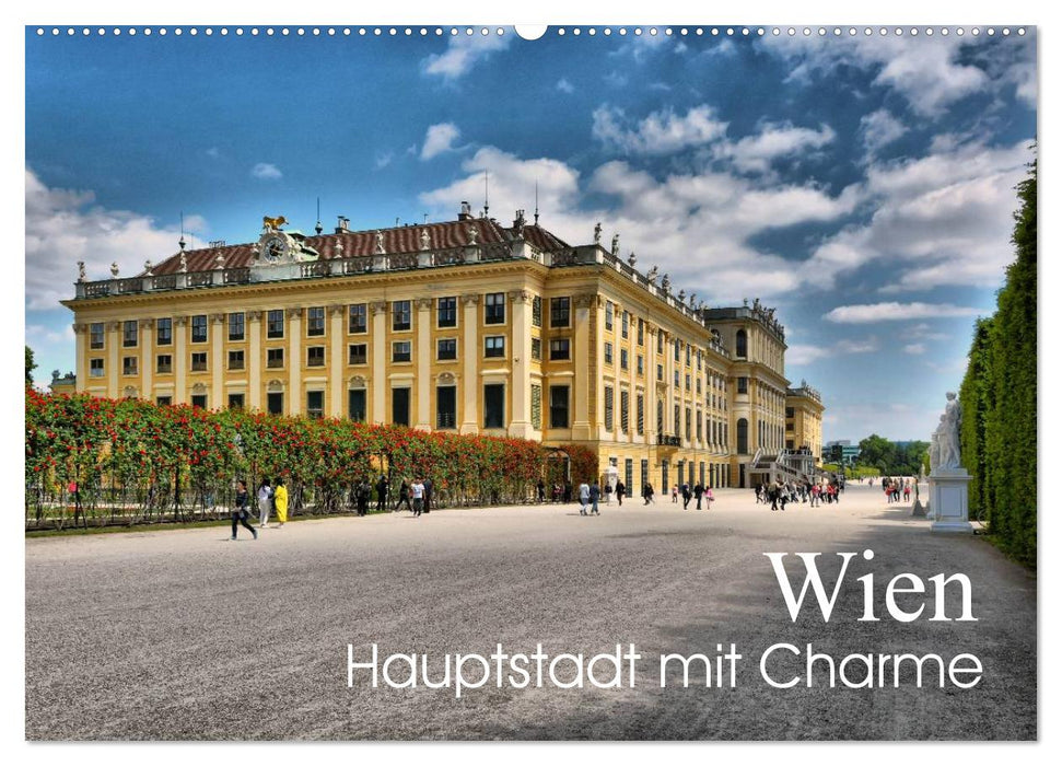 Wien - Haupstadt mit Charme (CALVENDO Wandkalender 2026)