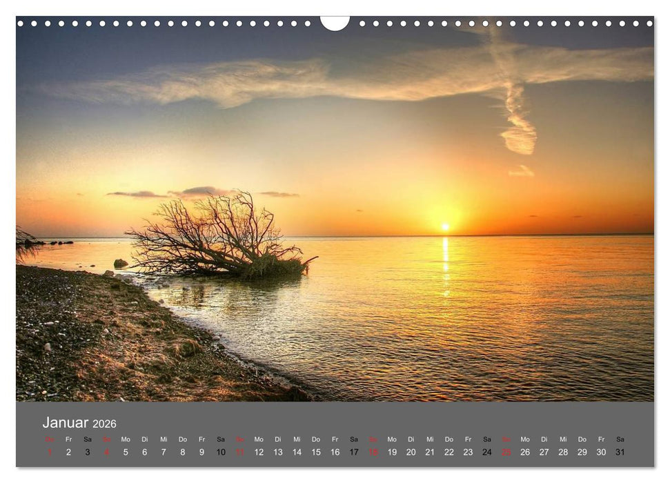 Naturwunder Möns Klinten (CALVENDO Wandkalender 2026)