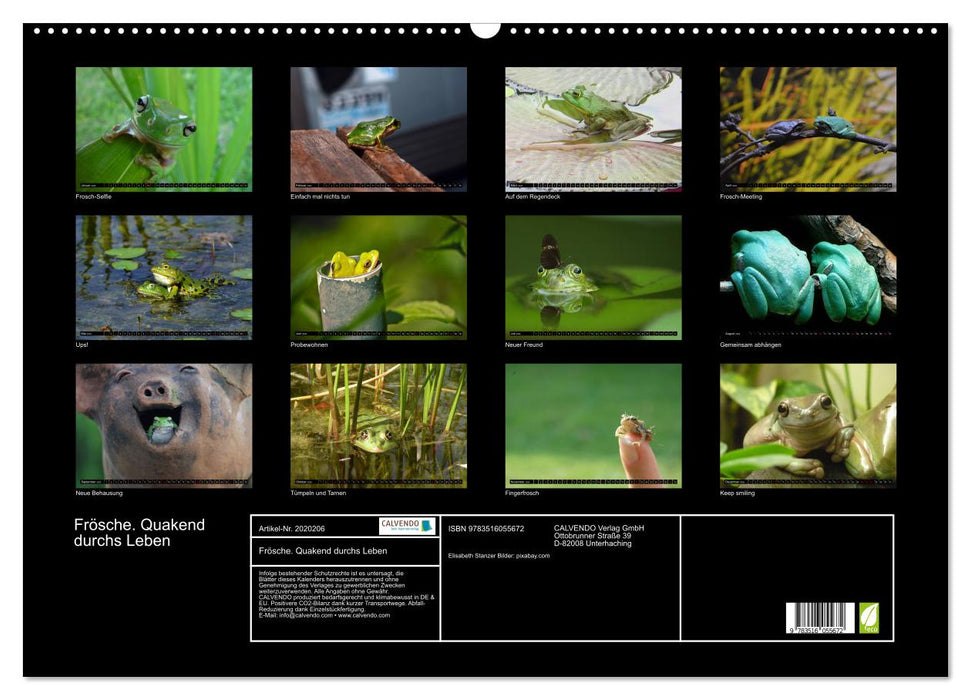 Frösche. Quakend durchs Leben (CALVENDO Wandkalender 2026)