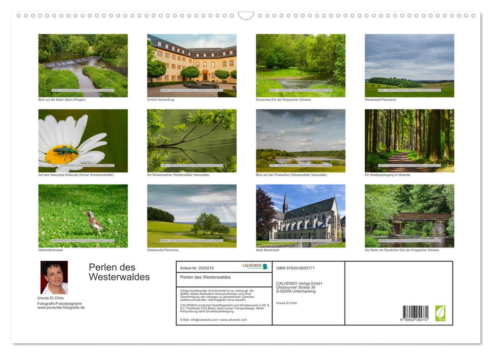Perlen des Westerwaldes (CALVENDO Wandkalender 2026)