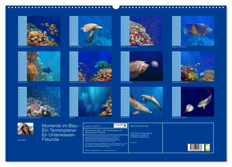Momente im Blau - Ein Terminplaner für Unterwasser-Freunde (CALVENDO Wandkalender 2026)