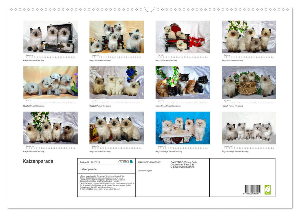 Katzenparade (CALVENDO Wandkalender 2026)