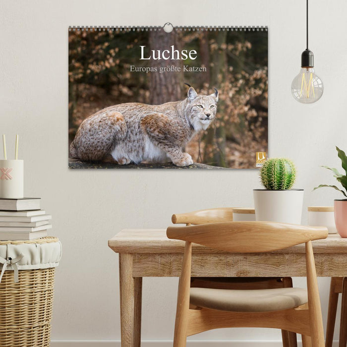 Luchse - Europas größte Katzen (CALVENDO Wandkalender 2026)