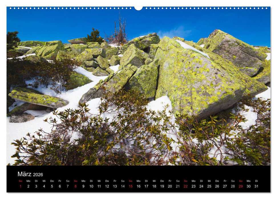 BERNER ALPEN - Natur und Landschaften (CALVENDO Wandkalender 2026)