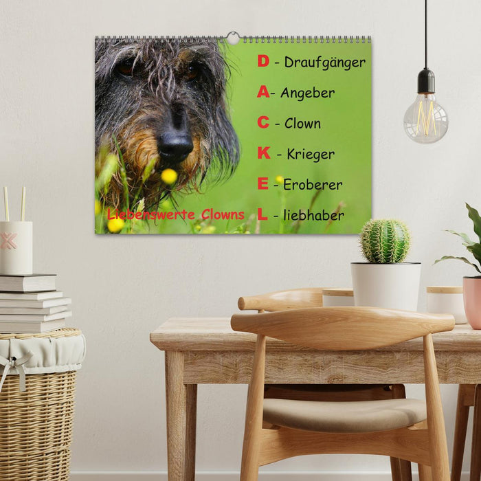 Liebenswerte Clowns (CALVENDO Wandkalender 2026)