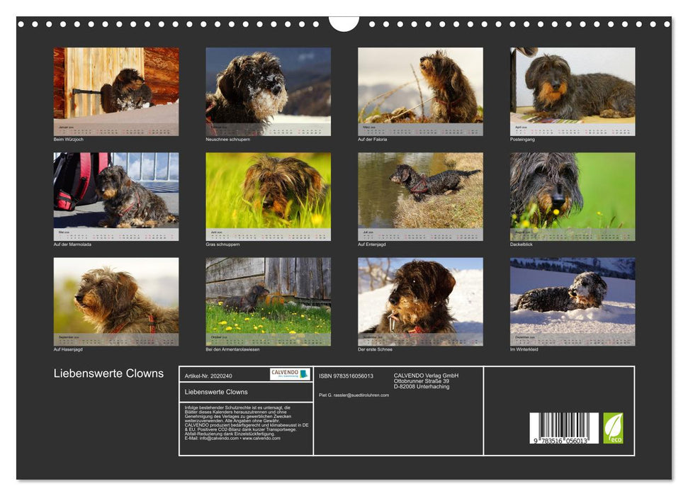 Liebenswerte Clowns (CALVENDO Wandkalender 2026)
