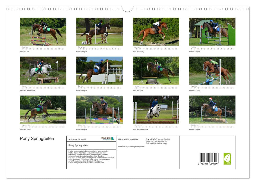 Pony Springreiten (CALVENDO Wandkalender 2026)