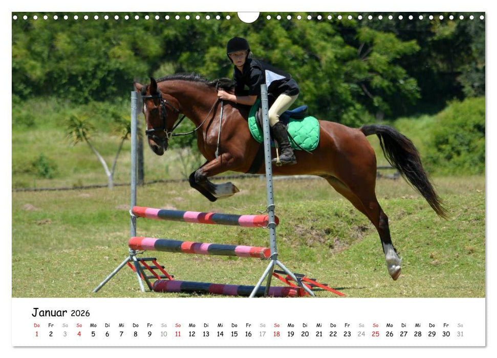 Pony Springreiten (CALVENDO Wandkalender 2026)